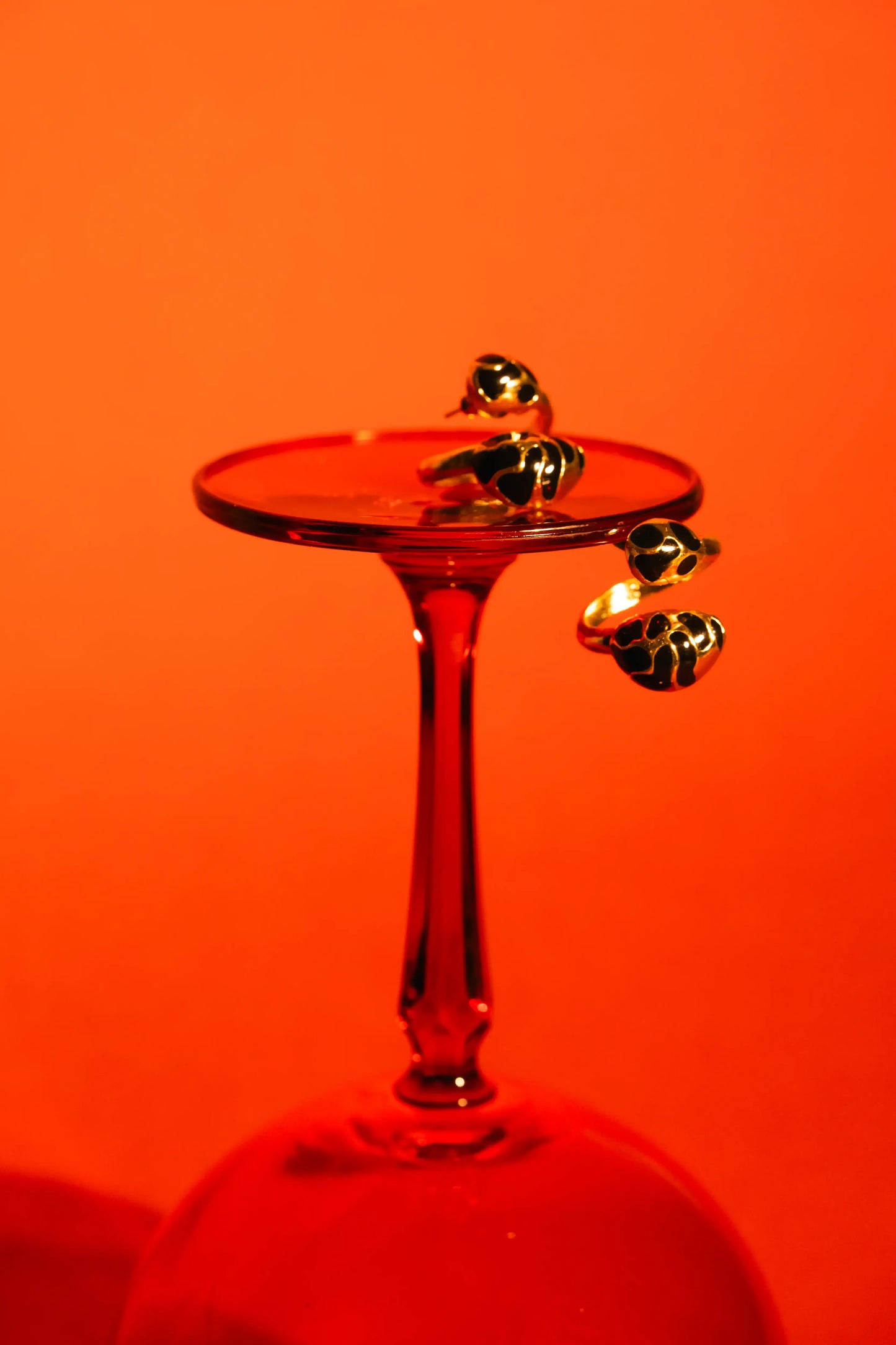 Midnight Whisper Hoop Earrings