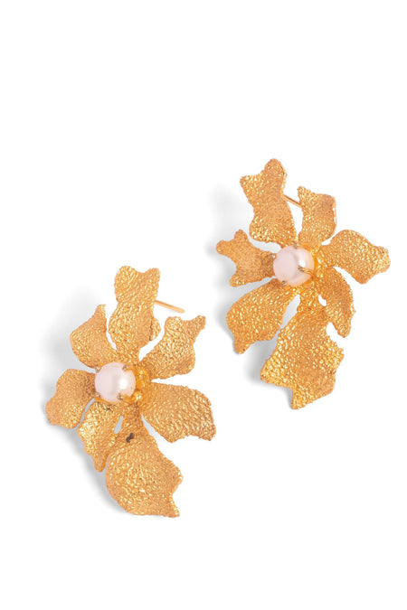 Who’s She Stud Earrings - Gold--1--image