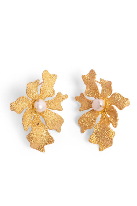 Who’s She Stud Earrings - Gold--3--image